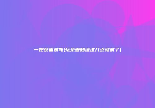 一把茶壶对吗(玩茶壶知道这几点就对了)