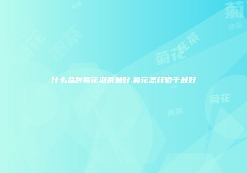 什么品种菊花泡茶最好,菊花怎样晒干最好