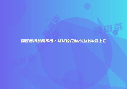 糯香普洱茶喝不惯？试试这几种方法让你爱上它