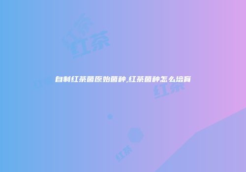 自制红茶菌原始菌种,红茶菌种怎么培育