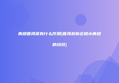 青柑普洱茶有什么作用(普洱茶新会柑小青柑的功效)