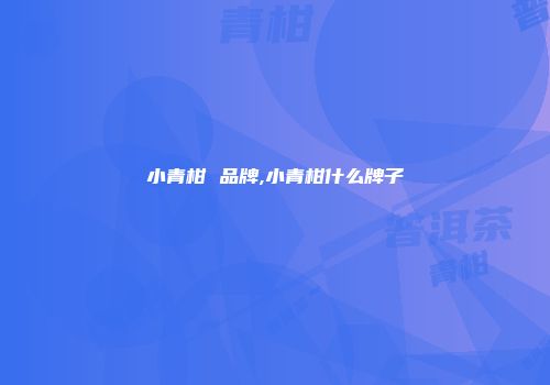 小青柑 品牌,小青柑什么牌子