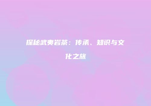 探秘武夷岩茶：传承、知识与文化之旅