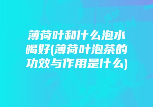 薄荷叶和什么泡水喝好(薄荷叶泡茶的功效与作用是什么)