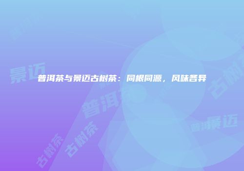普洱茶与景迈古树茶：同根同源，风味各异