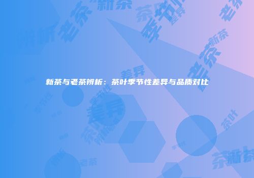 新茶与老茶辨析：茶叶季节性差异与品质对比