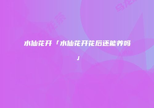 水仙花开「水仙花开花后还能养吗」