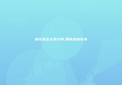 菊花茶怎么泡才好,如何泡菊花茶