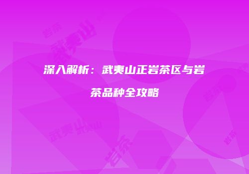 深入解析：武夷山正岩茶区与岩茶品种全攻略