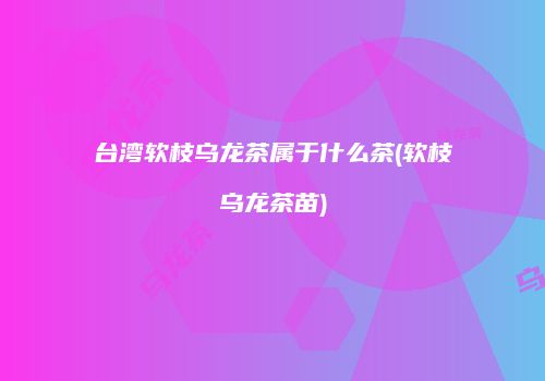 台湾软枝乌龙茶属于什么茶(软枝乌龙茶苗)