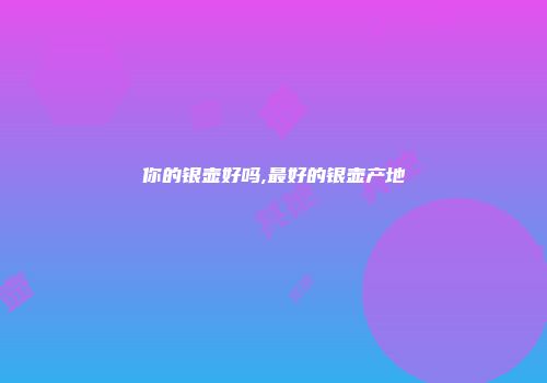 你的银壶好吗,最好的银壶产地