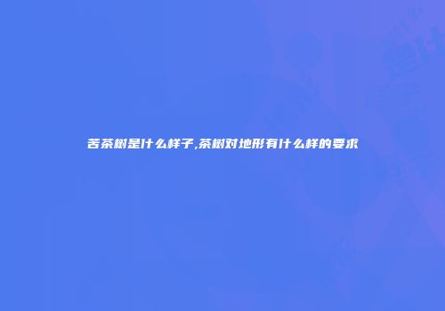 苦茶树是什么样子,茶树对地形有什么样的要求