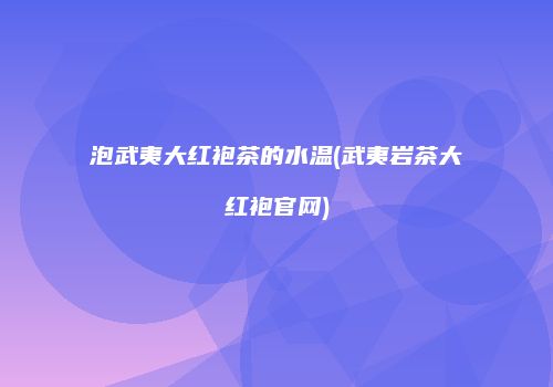泡武夷大红袍茶的水温(武夷岩茶大红袍官网)