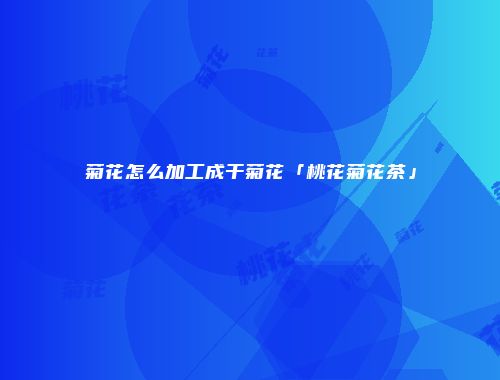 菊花怎么加工成干菊花「桃花菊花茶」
