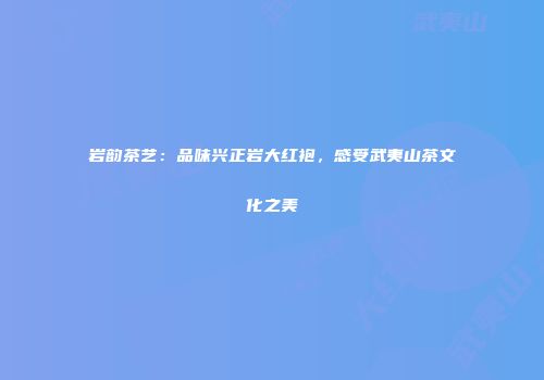 岩韵茶艺：品味兴正岩大红袍，感受武夷山茶文化之美