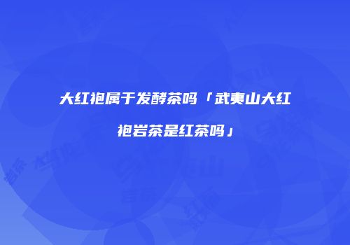 大红袍属于发酵茶吗「武夷山大红袍岩茶是红茶吗」