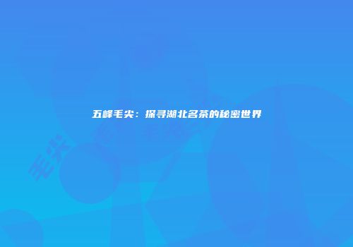 五峰毛尖：探寻湖北名茶的秘密世界