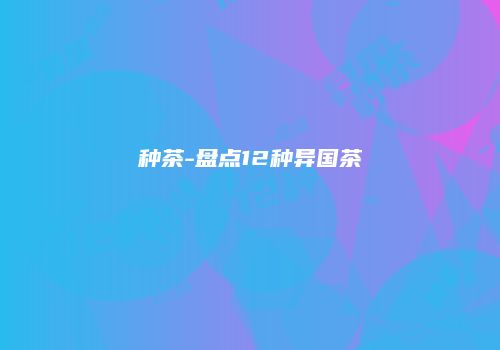 种茶-盘点12种异国茶