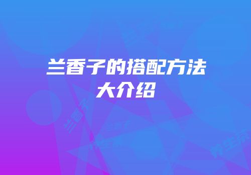 兰香子的搭配方法大介绍