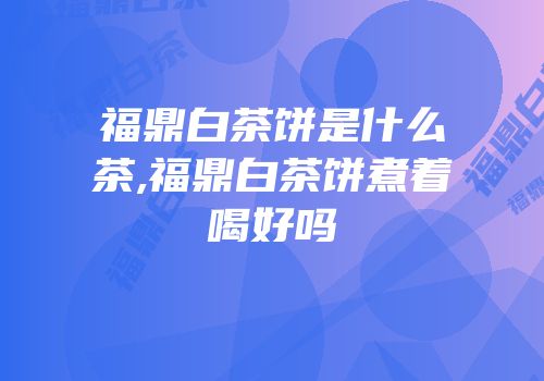 福鼎白茶饼是什么茶,福鼎白茶饼煮着喝好吗