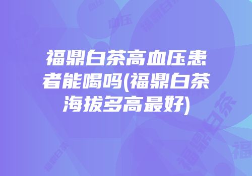 福鼎白茶高血压患者能喝吗(福鼎白茶海拔多高最好)