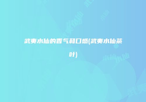 武夷水仙的香气和口感(武夷水仙茶叶)