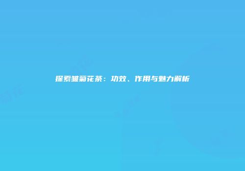 探索雏菊花茶：功效、作用与魅力解析