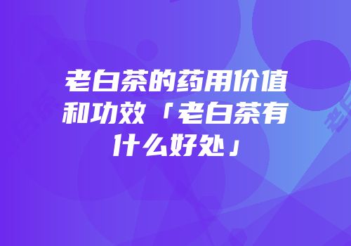 老白茶的药用价值和功效「老白茶有什么好处」
