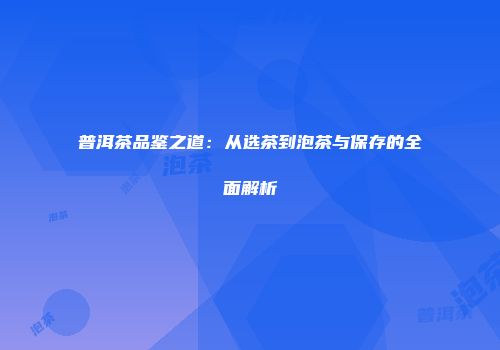 普洱茶品鉴之道：从选茶到泡茶与保存的全面解析