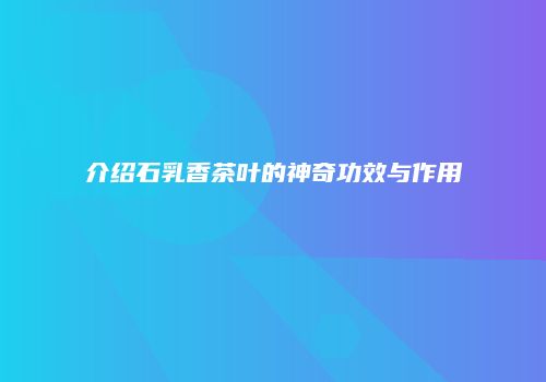 介绍石乳香茶叶的神奇功效与作用