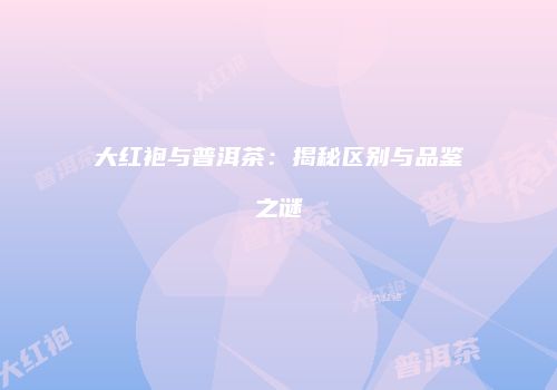 大红袍与普洱茶：揭秘区别与品鉴之谜