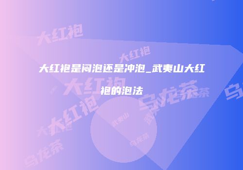 大红袍是闷泡还是冲泡_武夷山大红袍的泡法