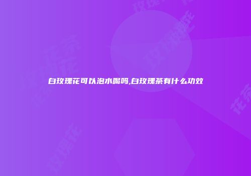 白玫瑰花可以泡水喝吗,白玫瑰茶有什么功效