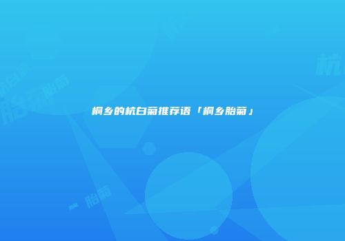 桐乡的杭白菊推荐语「桐乡胎菊」