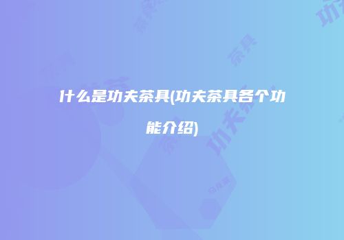 什么是功夫茶具(功夫茶具各个功能介绍)
