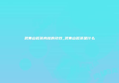 武夷山岩茶肉桂的功效_武夷山岩茶是什么