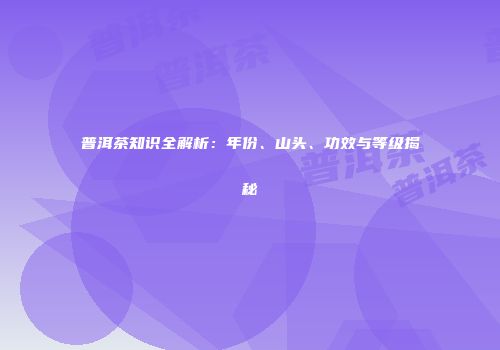普洱茶知识全解析：年份、山头、功效与等级揭秘