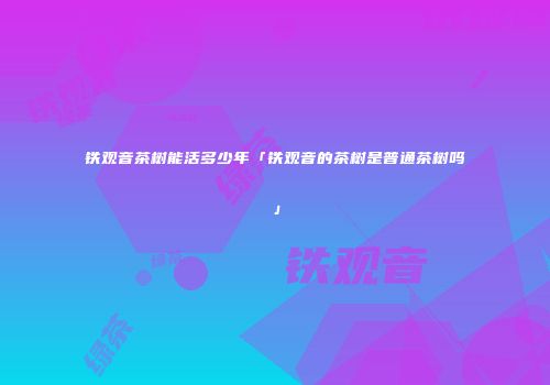 铁观音茶树能活多少年「铁观音的茶树是普通茶树吗」