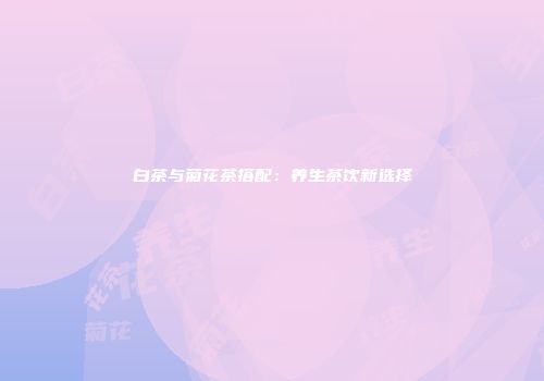 白茶与菊花茶搭配：养生茶饮新选择