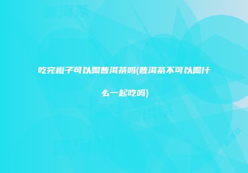 吃完橙子可以喝普洱茶吗(普洱茶不可以喝什么一起吃吗)