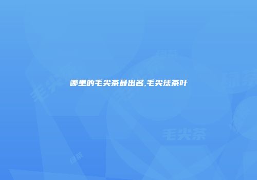 哪里的毛尖茶最出名,毛尖球茶叶