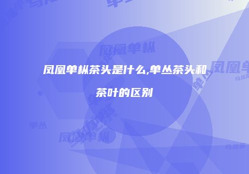凤凰单枞茶头是什么,单丛茶头和茶叶的区别