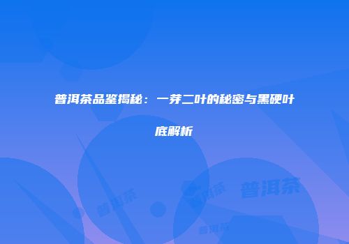 普洱茶品鉴揭秘：一芽二叶的秘密与黑硬叶底解析