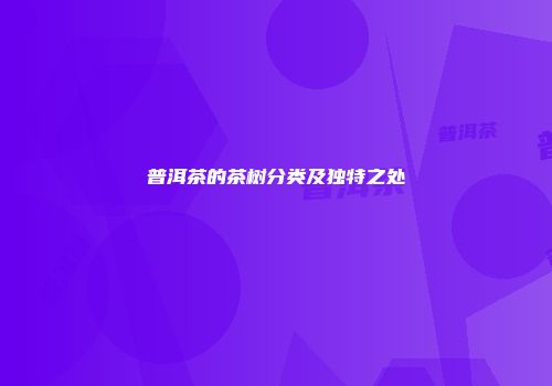 普洱茶的茶树分类及独特之处