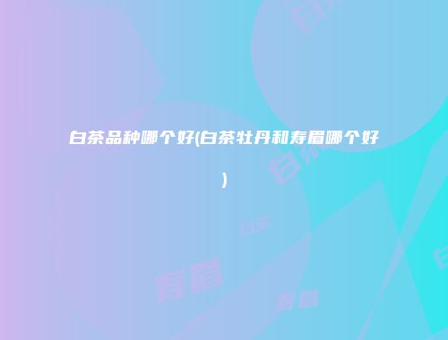 白茶品种哪个好(白茶牡丹和寿眉哪个好)
