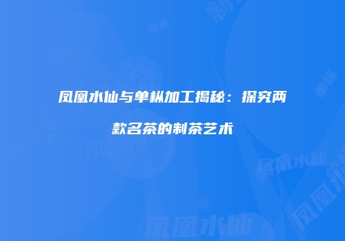 凤凰水仙与单枞加工揭秘：探究两款名茶的制茶艺术