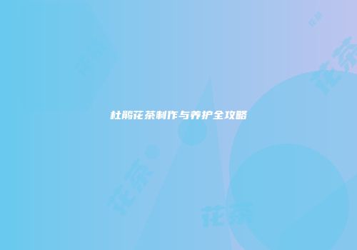 杜鹃花茶制作与养护全攻略