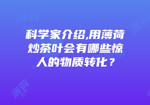 科学家介绍,用薄荷炒茶叶会有哪些惊人的物质转化？