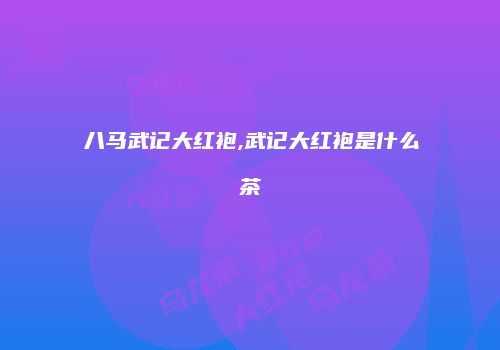 八马武记大红袍,武记大红袍是什么茶