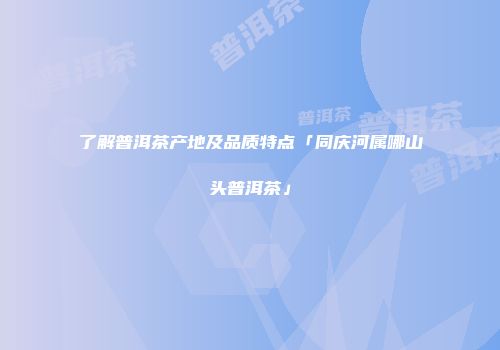 了解普洱茶产地及品质特点「同庆河属哪山头普洱茶」